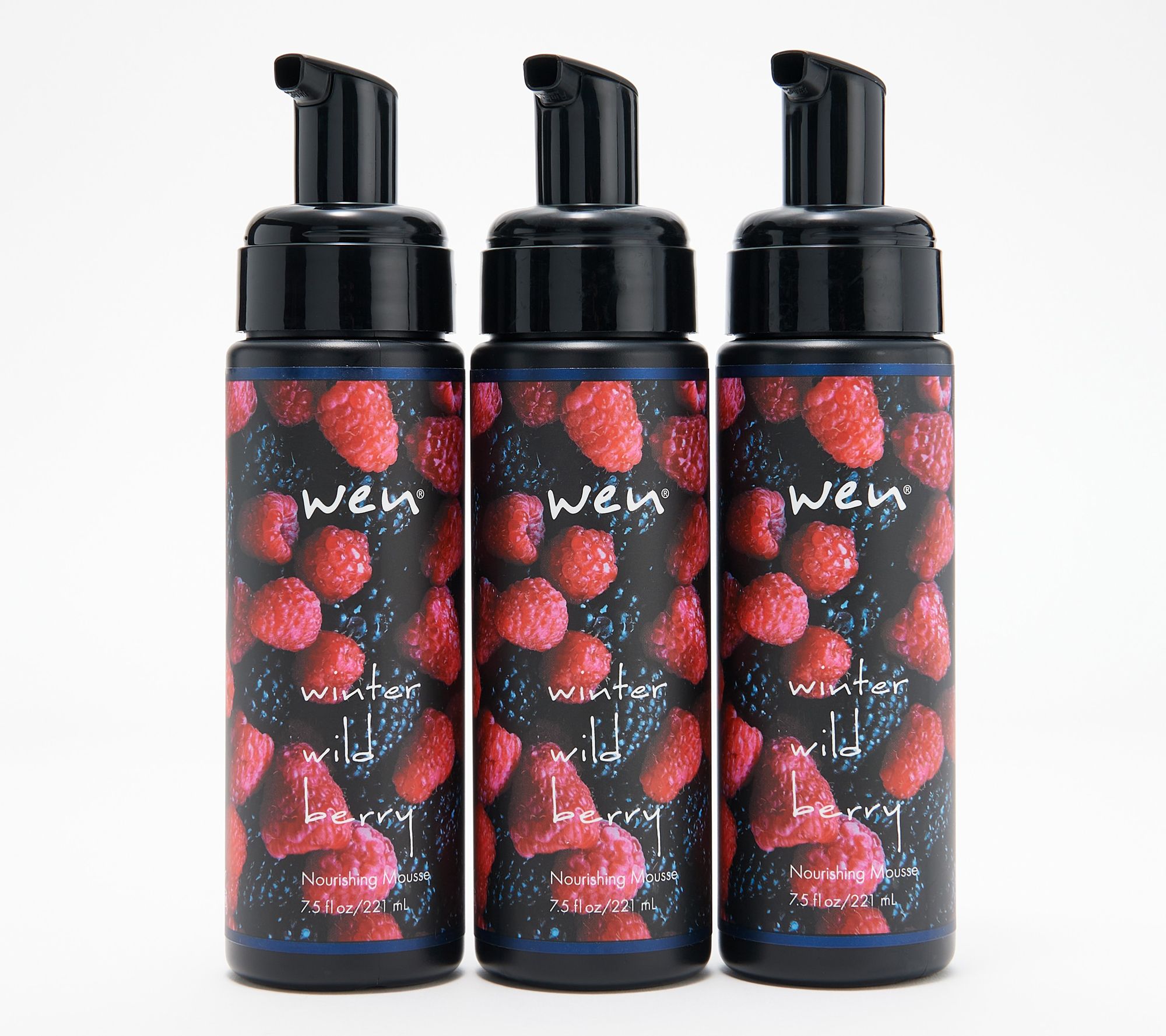 WEN by Chaz Dean Winter Seasonal Mousse Trio - A306404