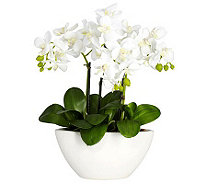  Phalaenopsis Flower Arrangement by Nearly Natural - H357346