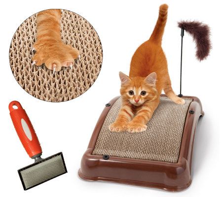 best cat deshedder