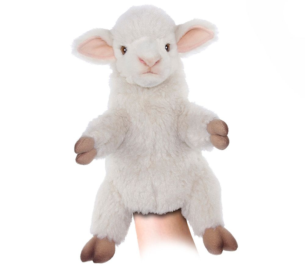 hansa lamb