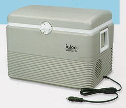 igloo thermoelectric cooler