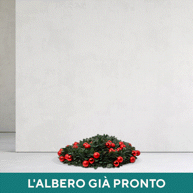 L'albero già pronto