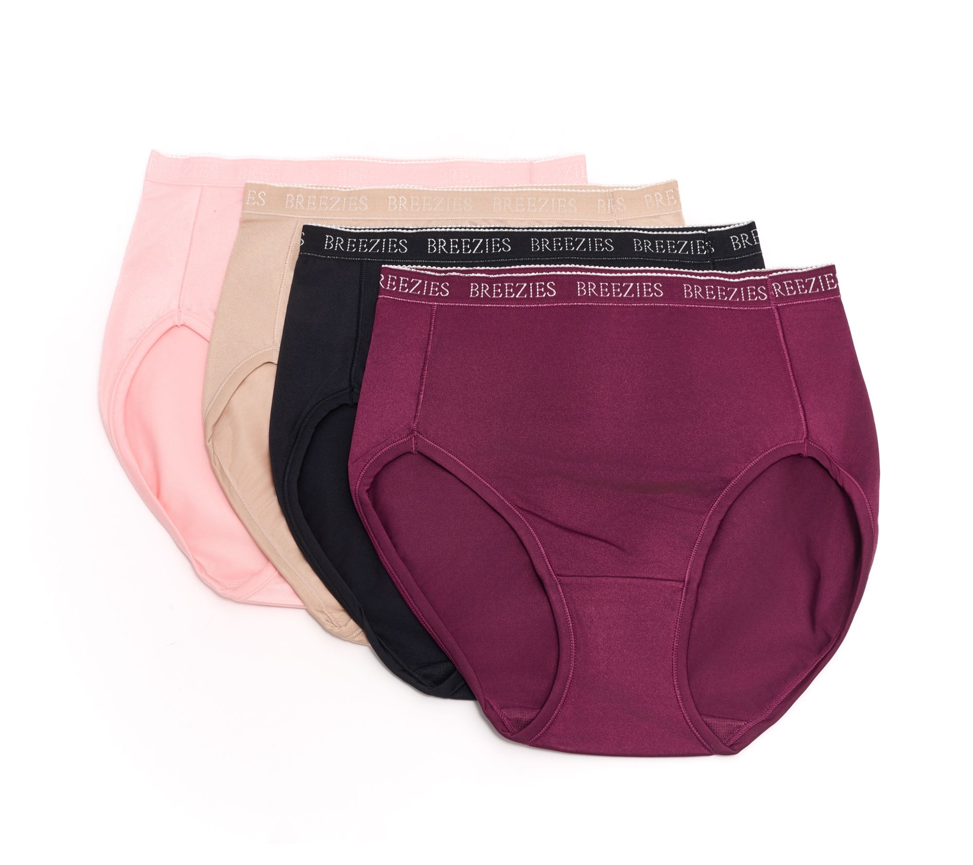 Breezies Nylon Microfiber Hi-Cut Panty 4 Pack