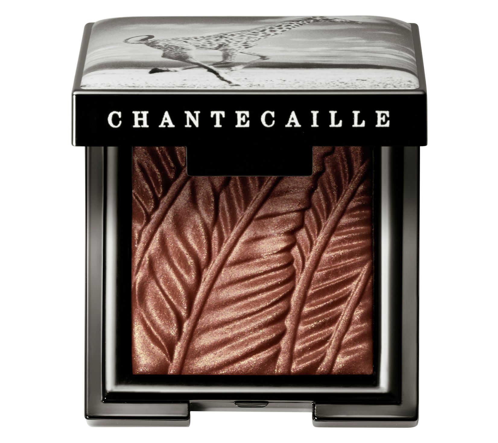 Chantecaille Luminescent Eye Shadow