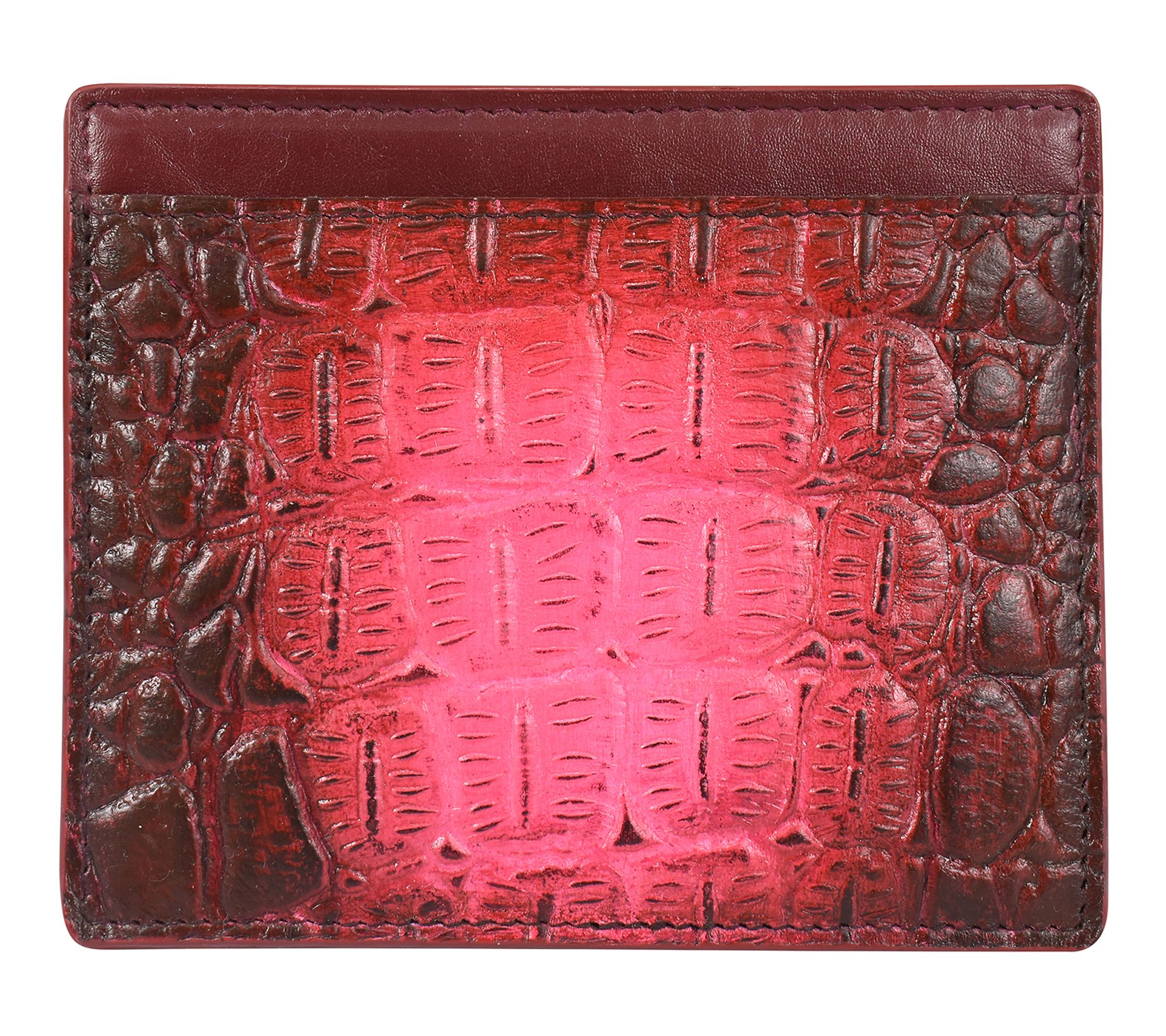 Anushcka Painted Leather Card Holder