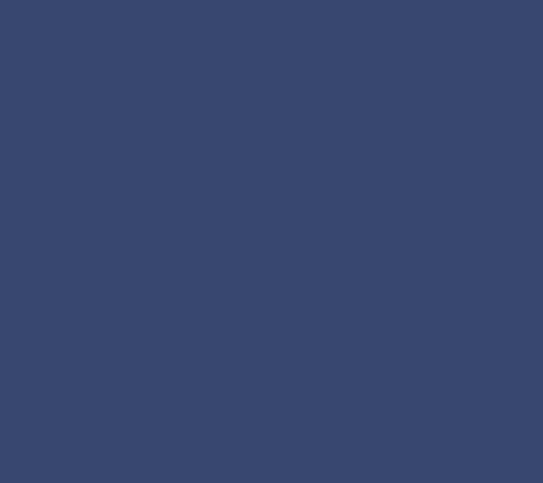 Navy Star