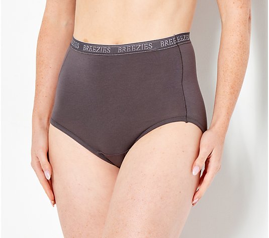 Breezies, Intimates & Sleepwear, 3x Breezies Set Of 4 Nylon Microfiber  Hicut Panty Sterling Womens Plus Size