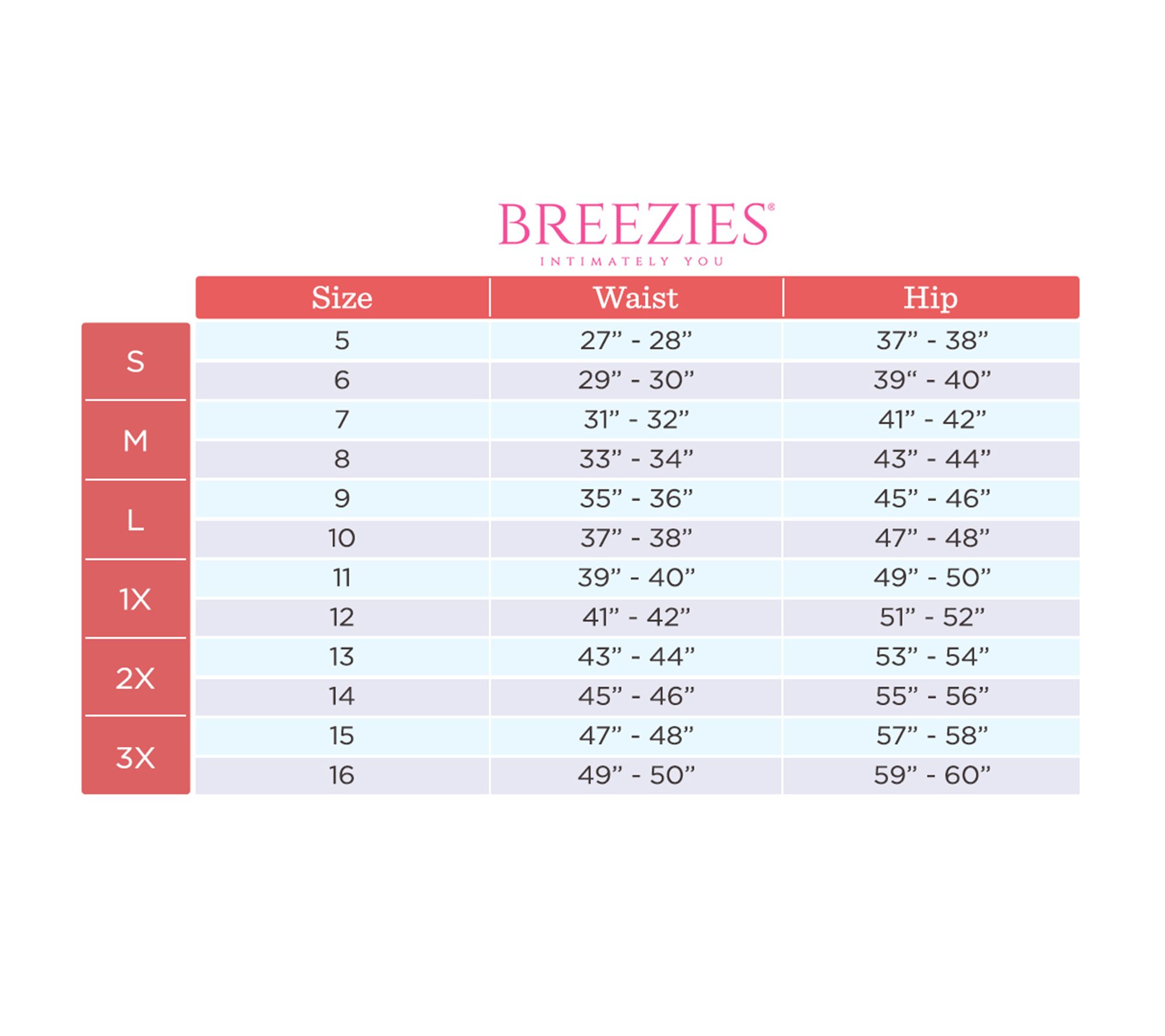 Breezies Original Cotton Brief Panties 6-Pack