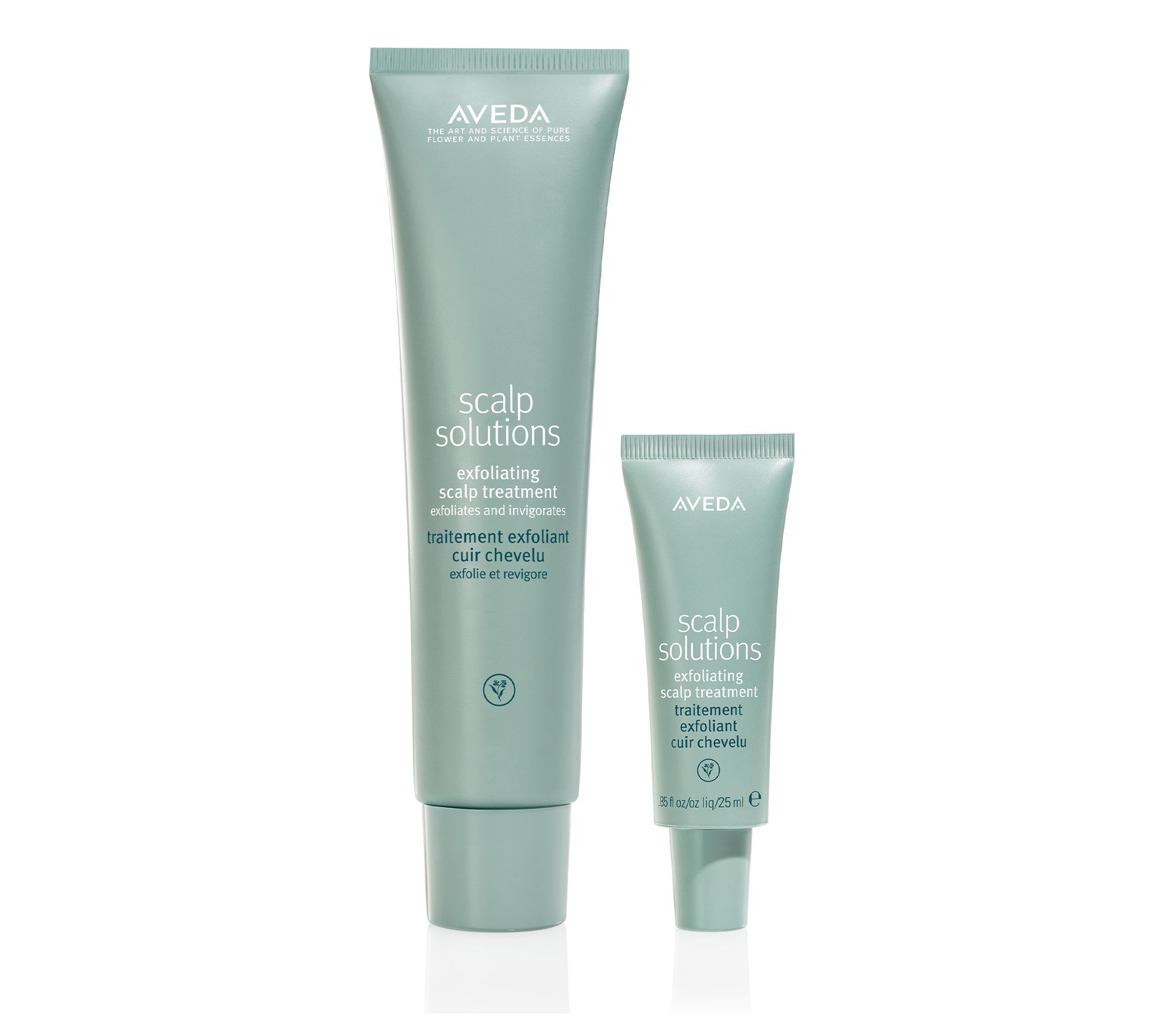 Aveda Scalp Solutions Exfoliating Treatment Hom e & Away