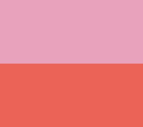Pink/Scarlet
