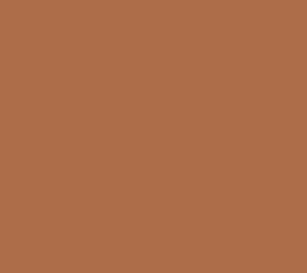 5W1 Sienna