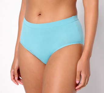 Breezies, Intimates & Sleepwear, 3x Breezies Set Of 4 Nylon Microfiber  Hicut Panty Sterling Womens Plus Size
