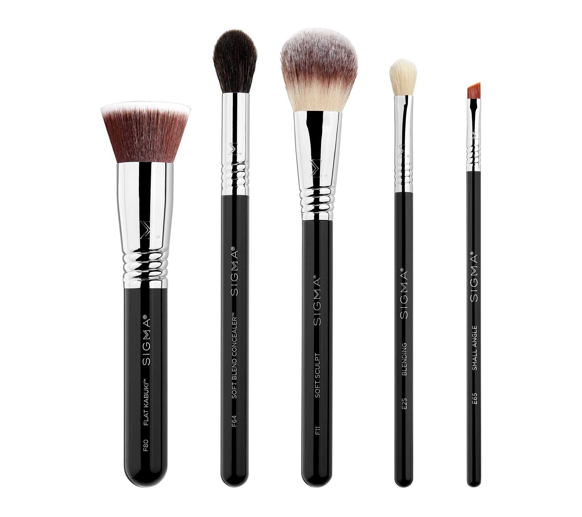 Sigma's Must-Have Brush Set