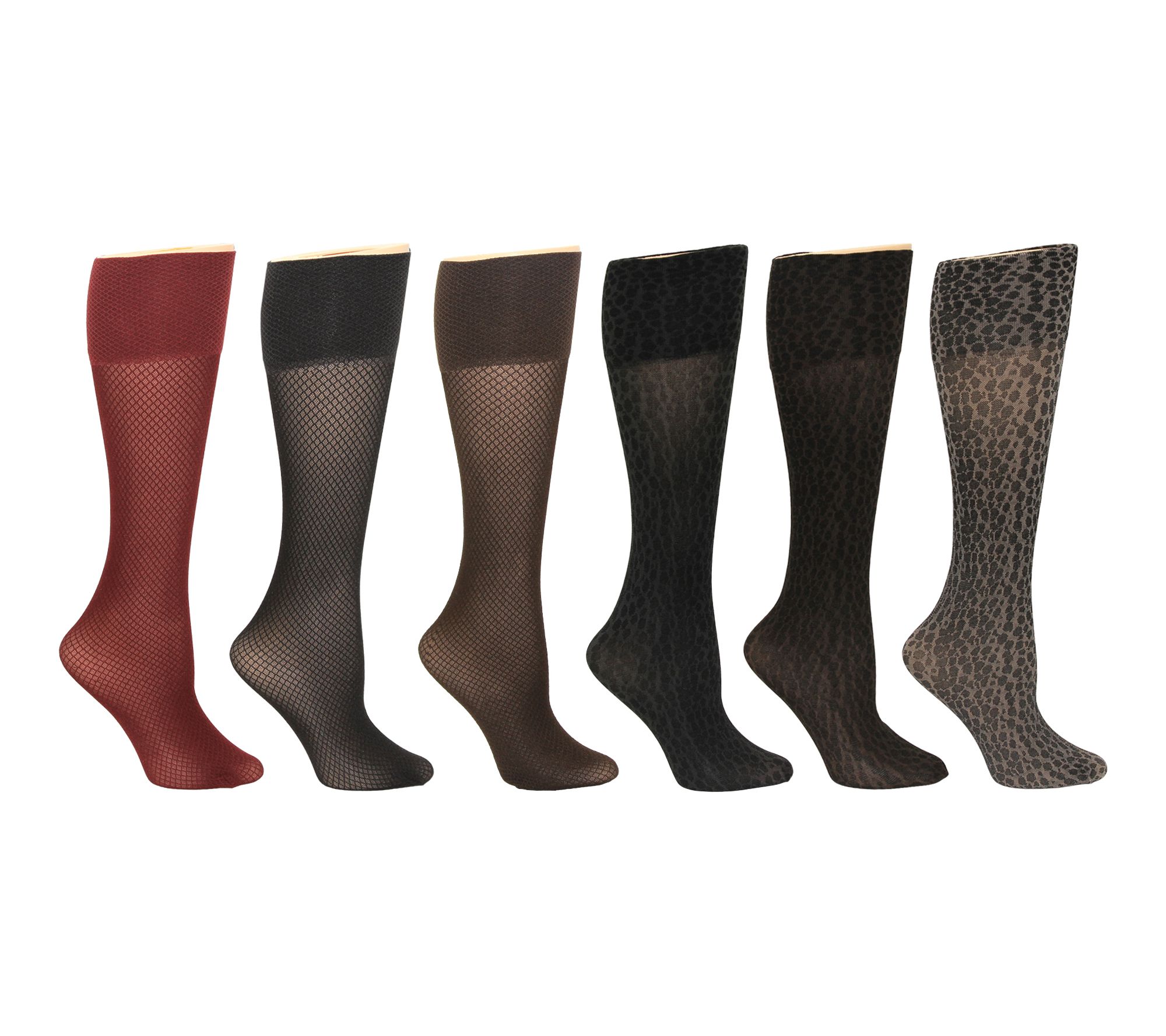 Envy Legwear Ladies Wide Band 6 Pair Pack Trous er Socks
