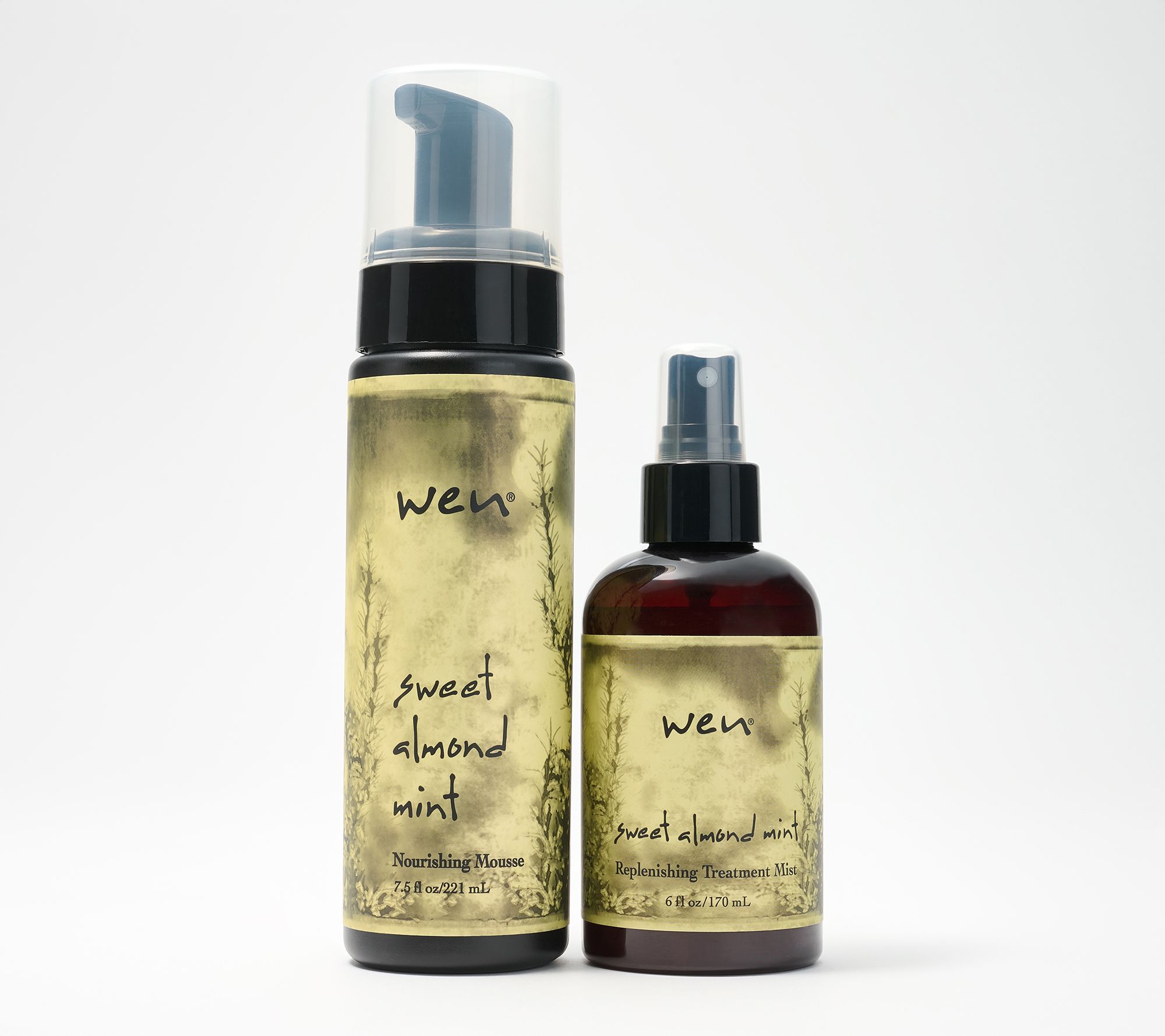 WEN by Chaz Dean Classic 2pc Recovery Set | QVC