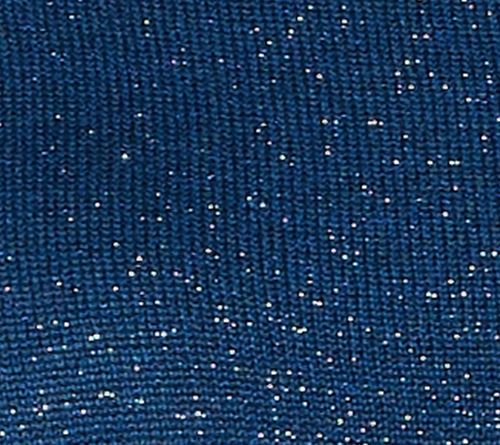 Starlit Indigo