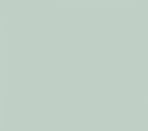 Black/GreenFrog