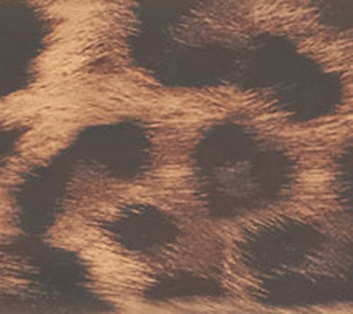 Patent Leopard