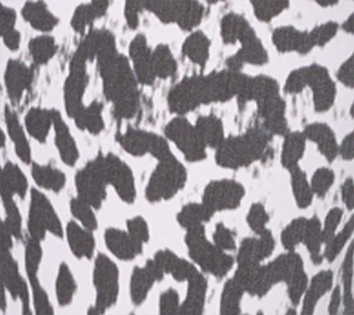 Grey Leopard