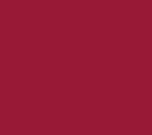 Burgundy Berry