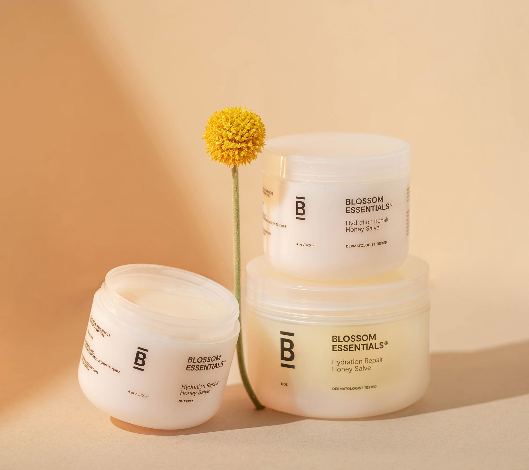 Blossom Essentials 4oz Hydration Repair Honey Salve - QVC.com