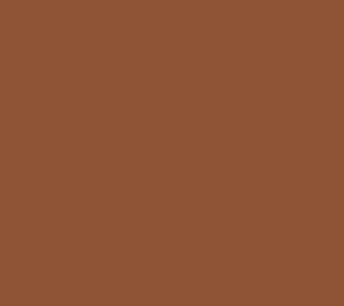 CINNAMON 10.5