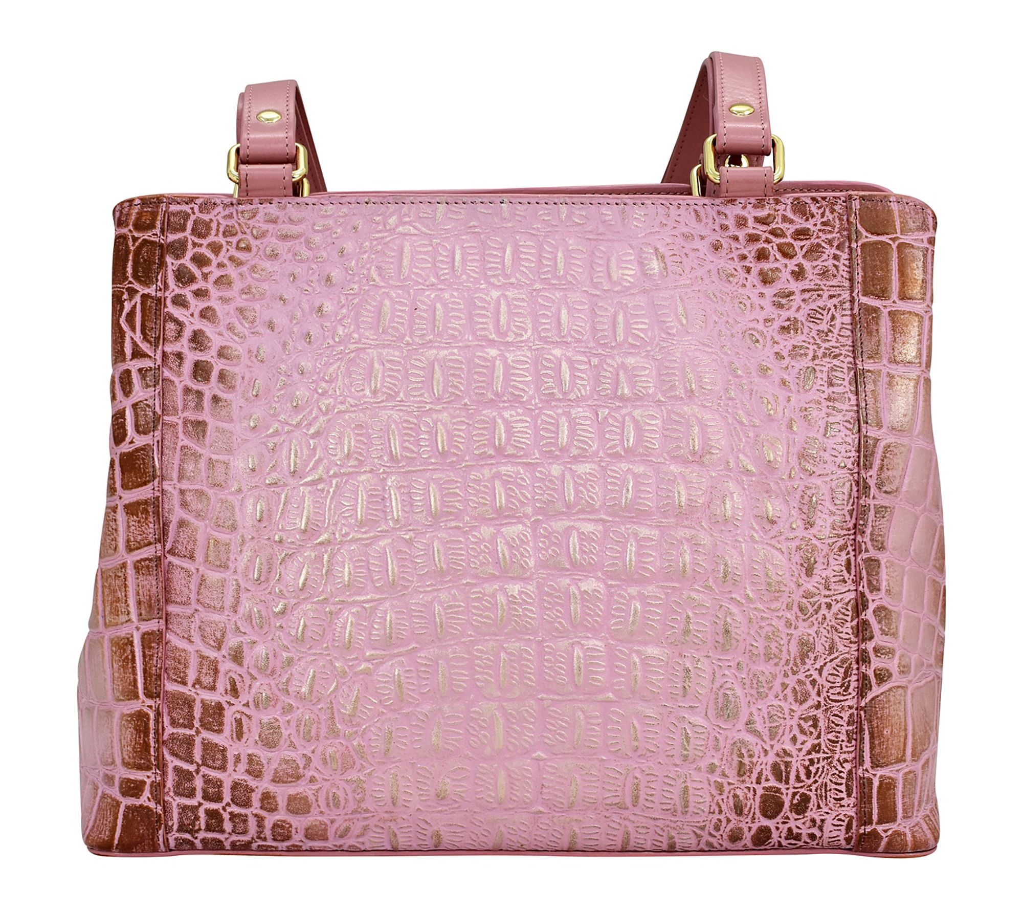 Anushcka Painted Leather Medium Everyday Tote