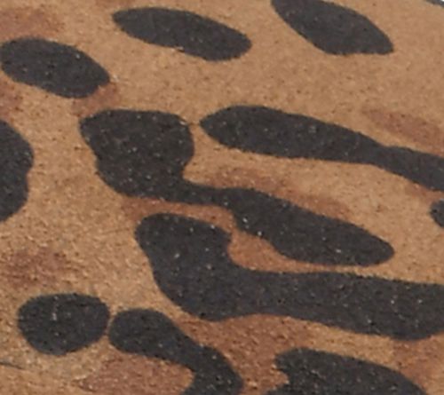 Brown Leopard