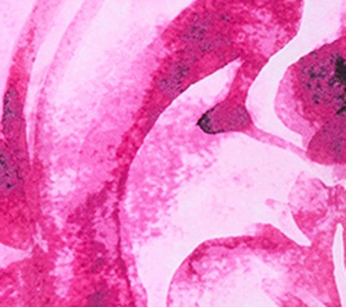 Magenta/Pink