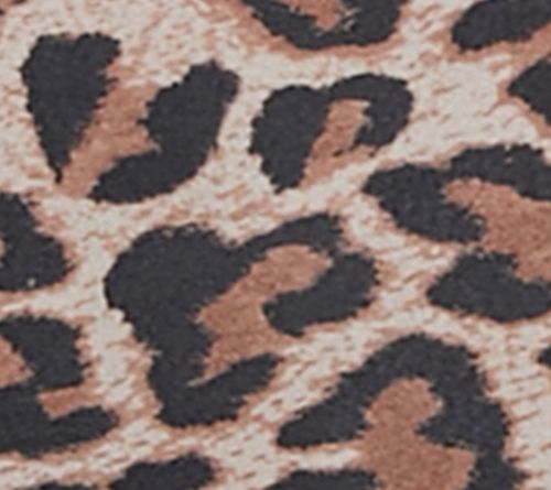 Clay Leopard