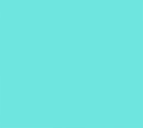 Coastal Turq