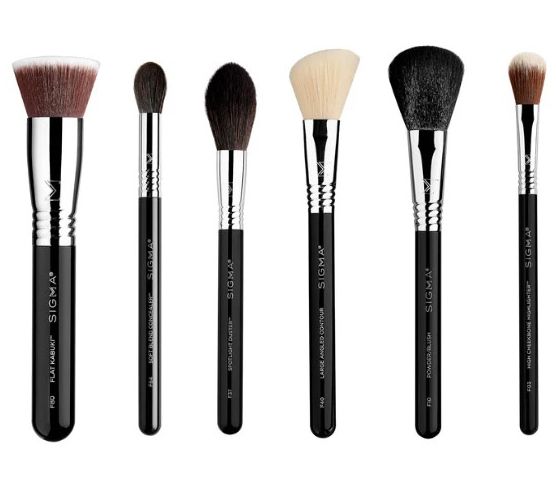 Sigma 6 Piece Face Brush Set