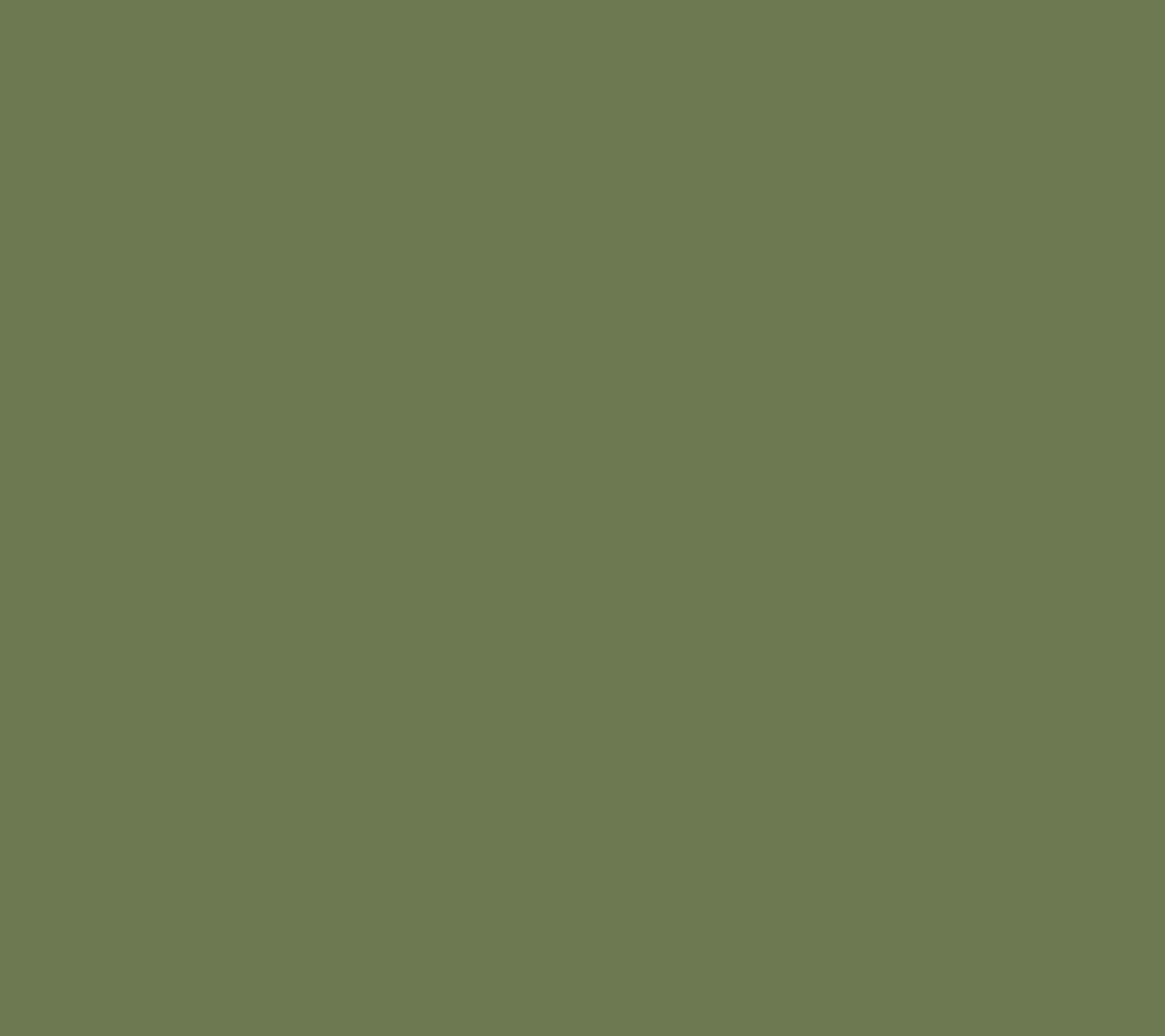 ClvrGreenRaffia