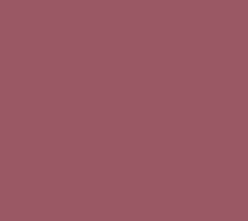 Plum Wine