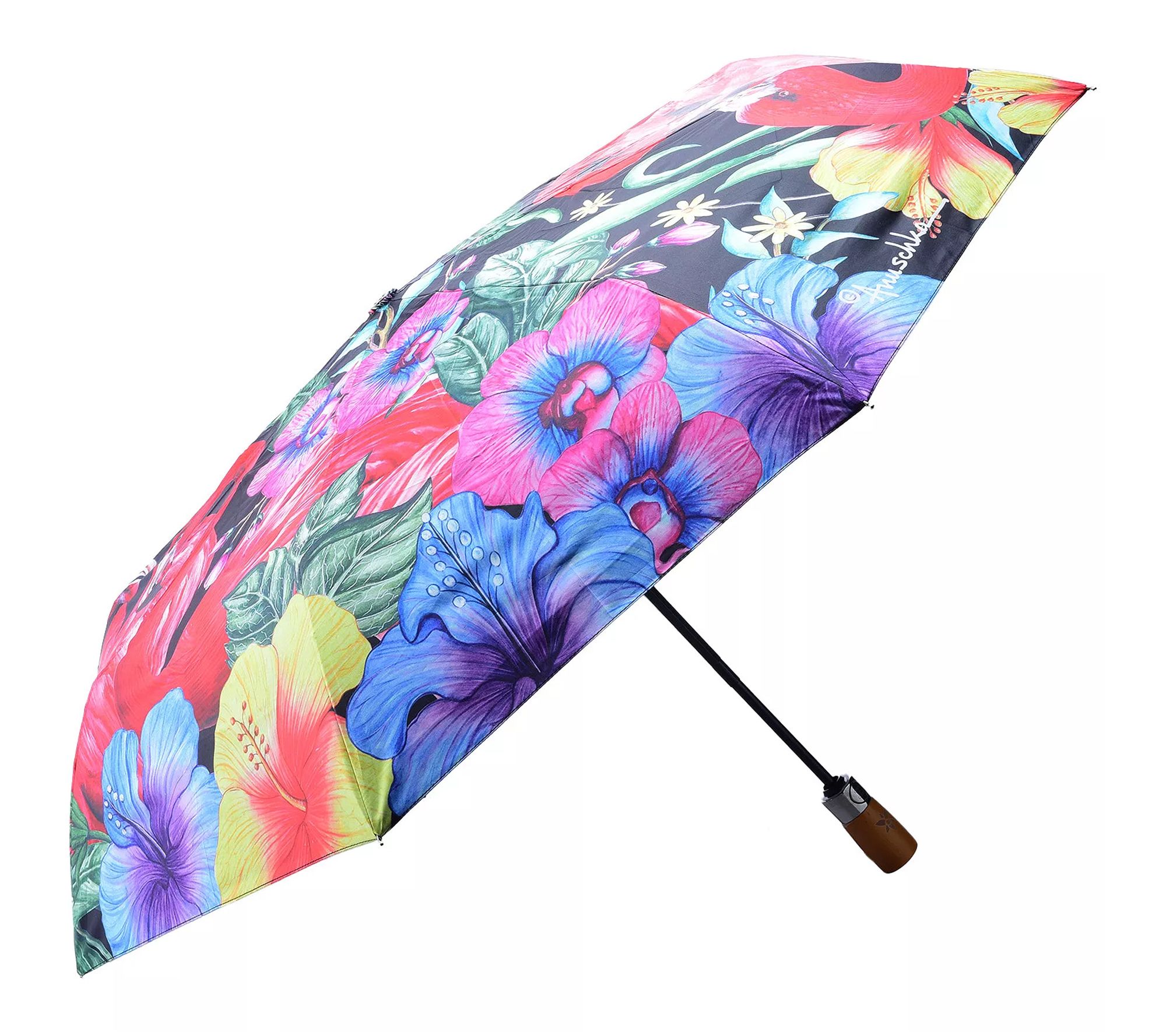 Anuschka Printed Umbrella