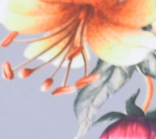 Ethereal Garden