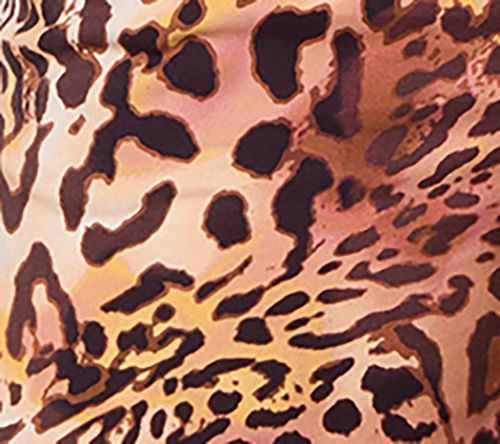 Hazy Leopard
