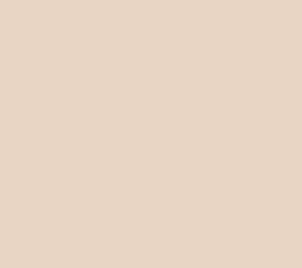 Sand Suede