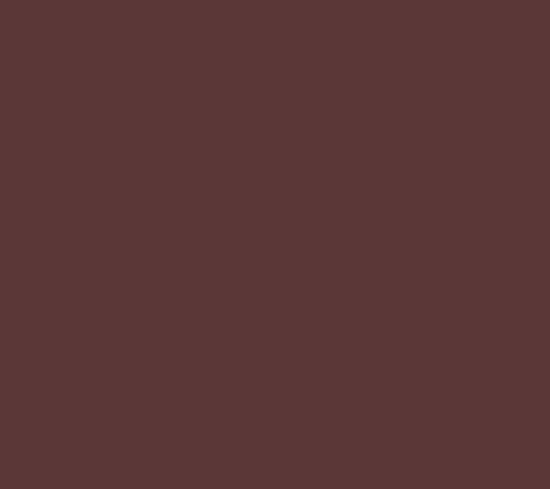 Chicory Brown