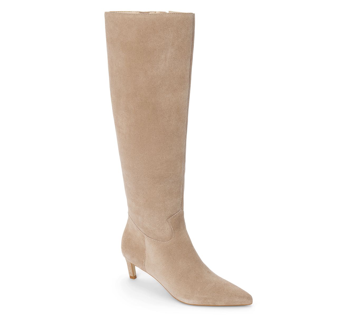 Matisse Elevate Suede Tall Boot