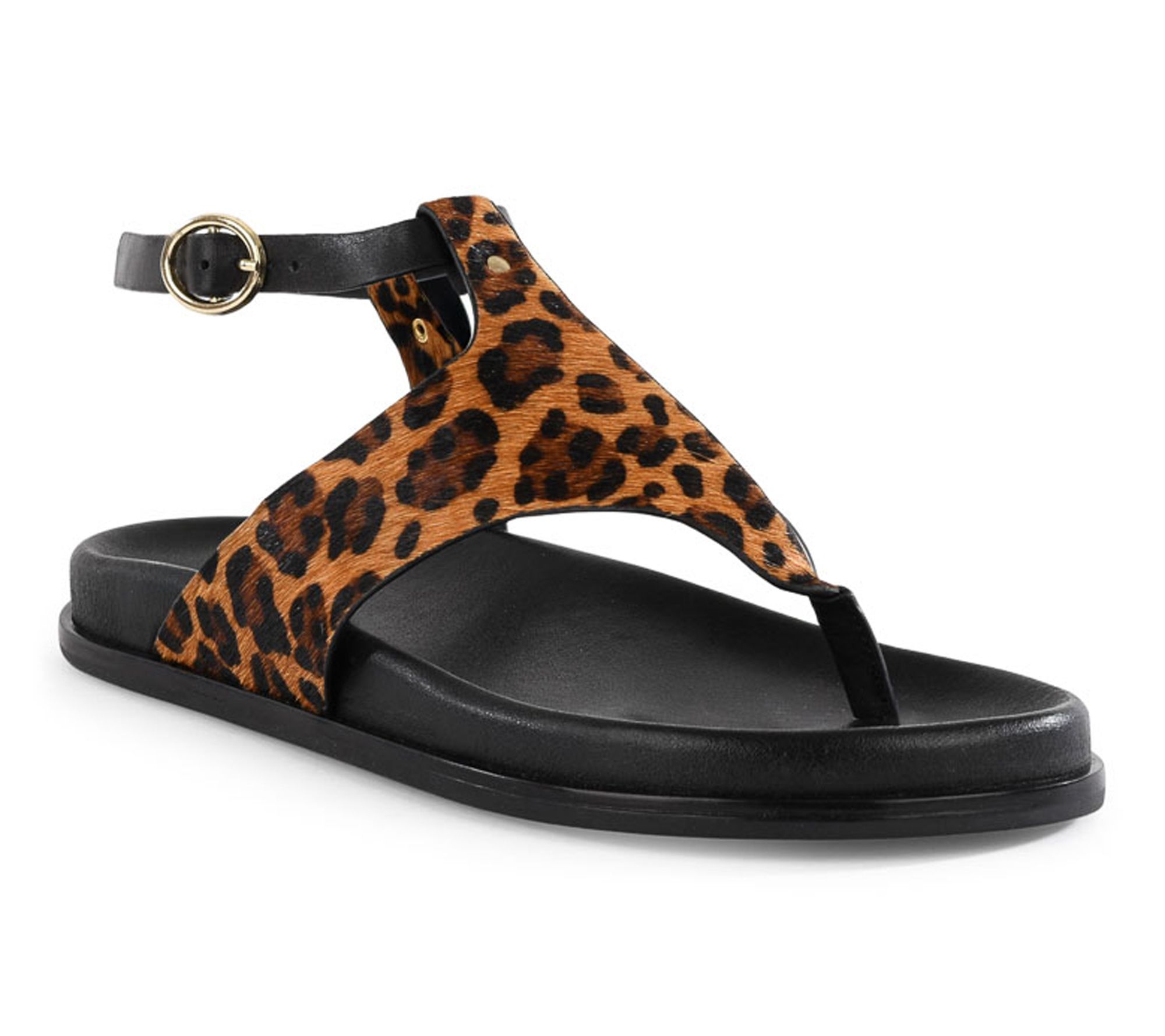 Seychelles Comfort Footbed Leather Thong Sandal - In the Zone