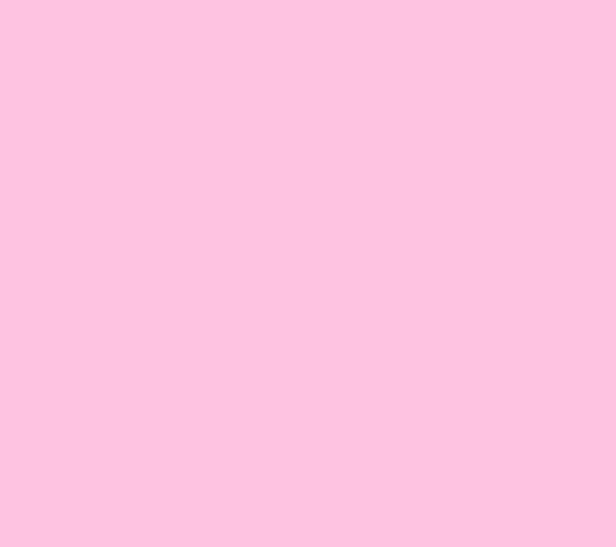 Hydrangea Pink