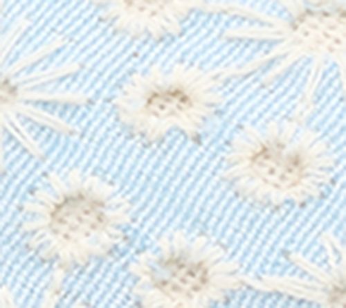 Blue Eyelet