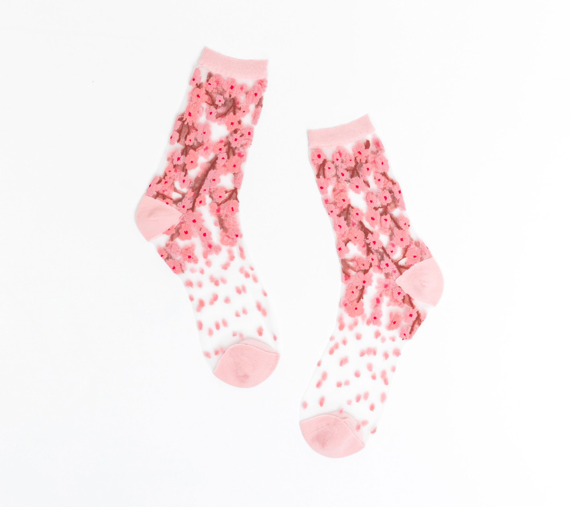 Sock Candy Sheer Crew Socks