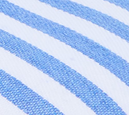 Blue Stripe