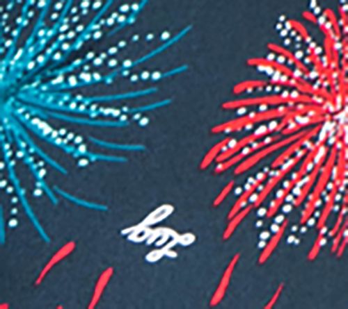 Fireworks Navy