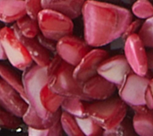 Fuchsia Multi