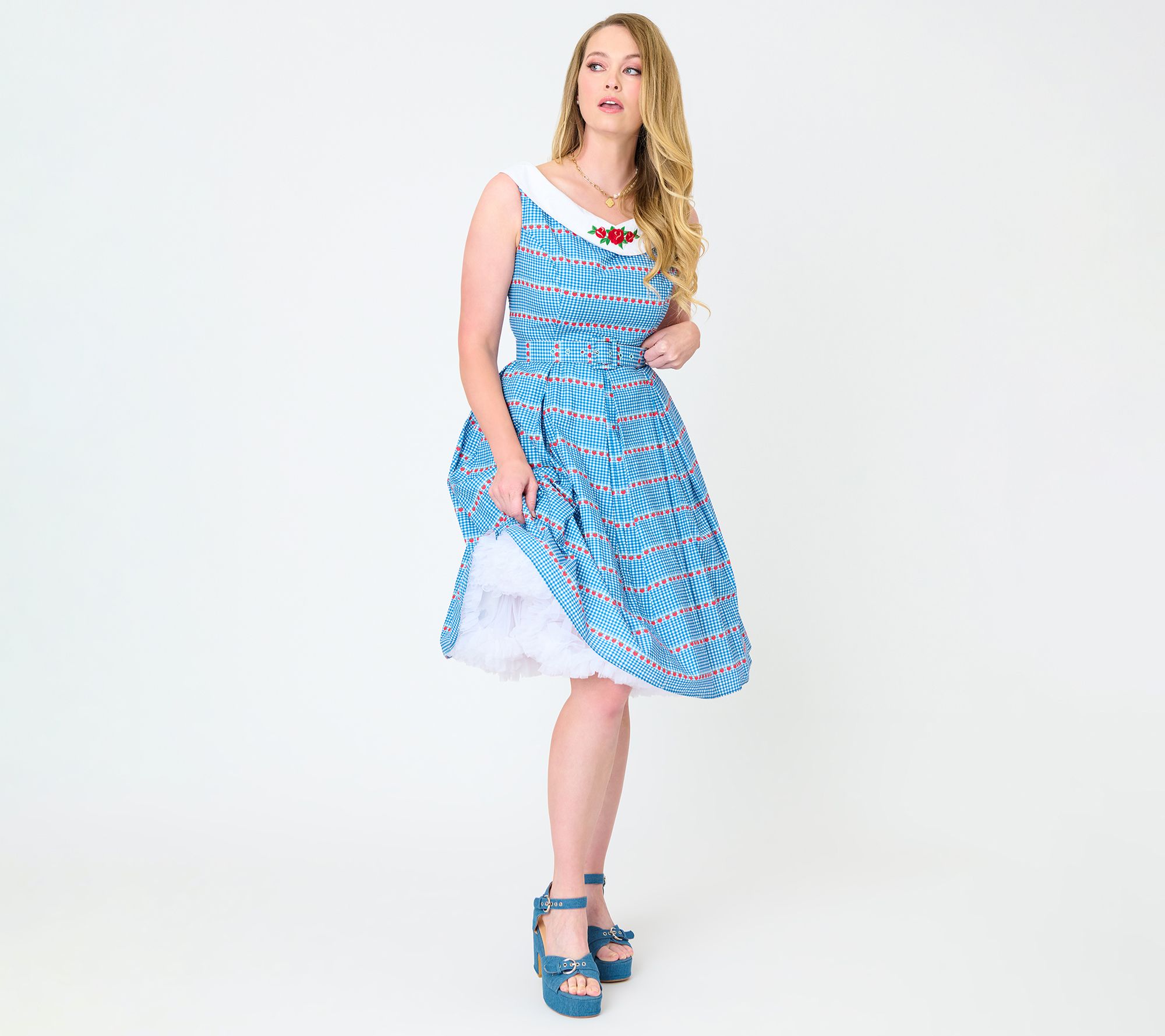 Unique Vintage Blue Gingham Contrast Collar Swing Dress