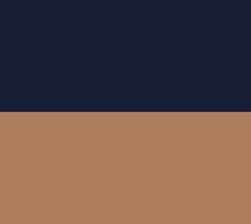 Navy/Toffee