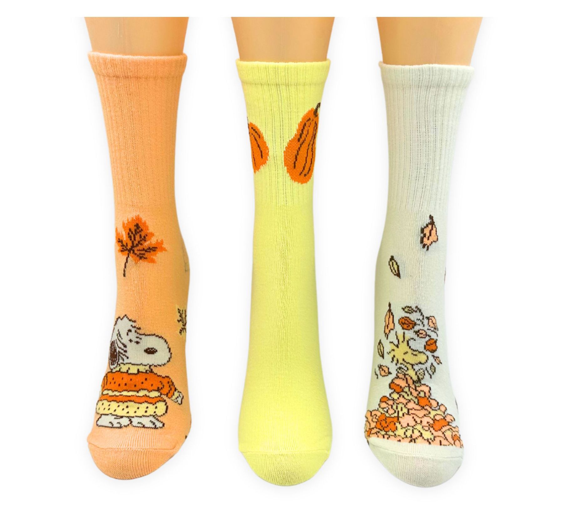 Ladies' Set of 3 Fall Fun Ribbed Character CrewSocks